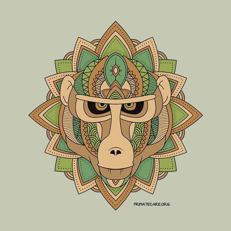 Mandala baboon illustration 