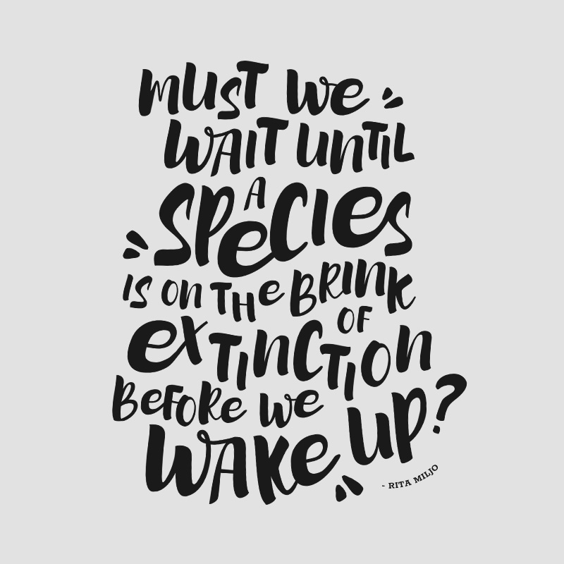 Rita Miljo's quote